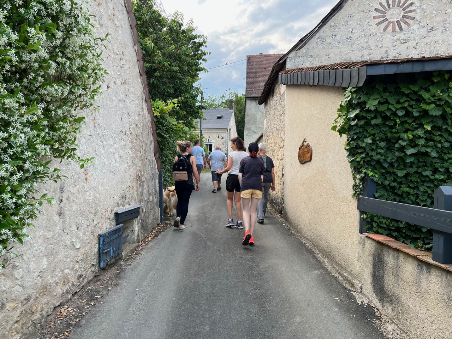 VMA72 Mayet coureurs en côte en forêt