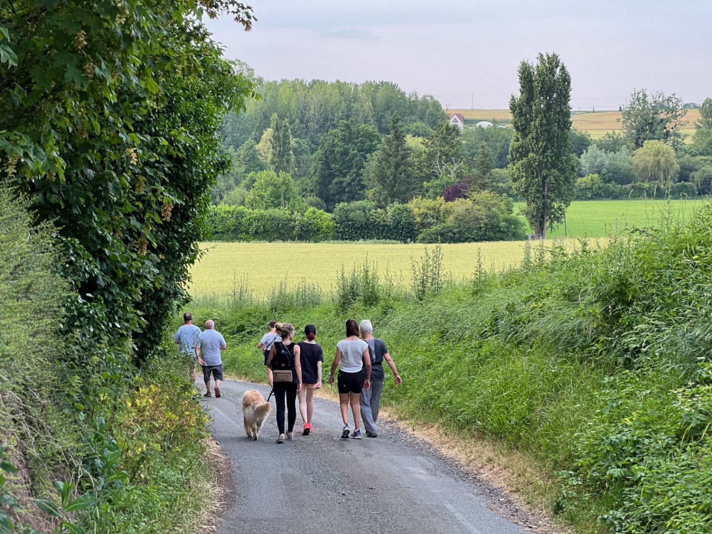 VMA72 Mayet marcheurs sur la route