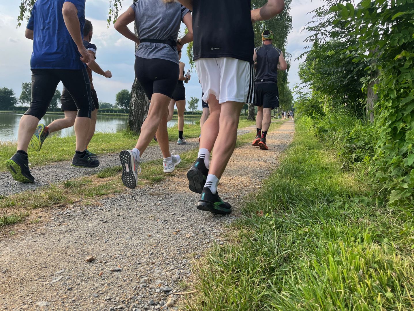 VMA72 Mayet coureurs fractionné en forêt