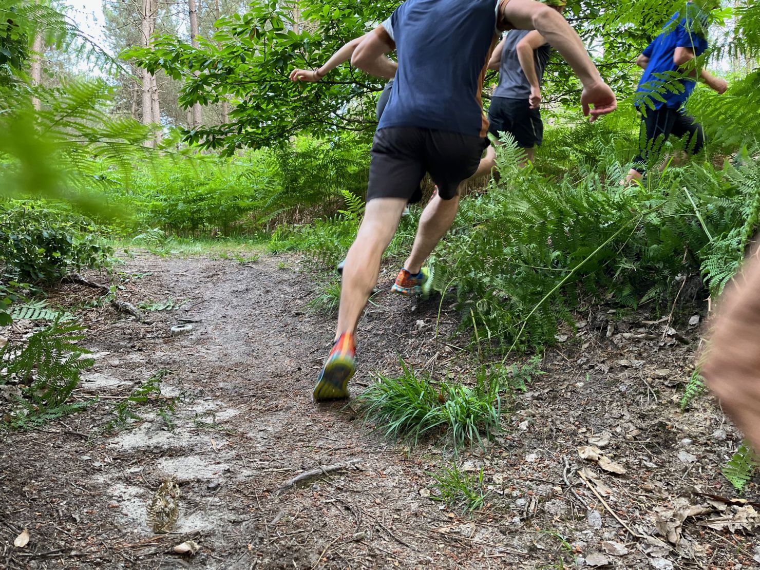 VMA72 Mayet coureurs fractionné en forêt