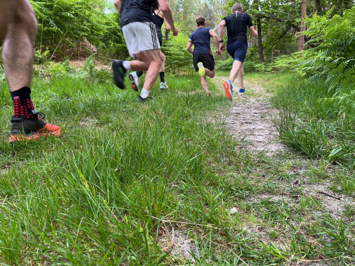 VMA72 Mayet coureurs en côte en forêt