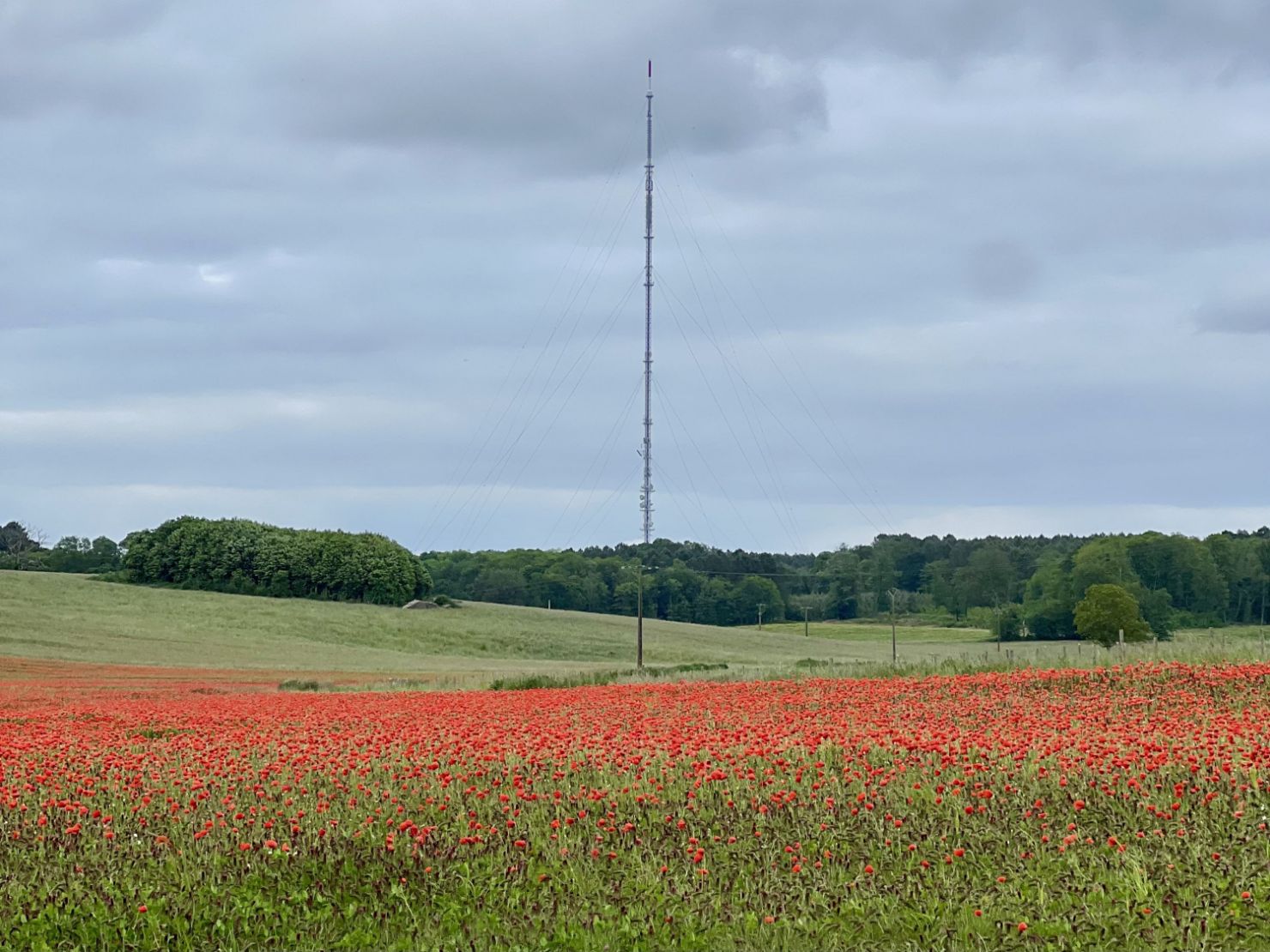VMA 72 Mayet Affiche Trail de l'Antenne de Mayet 15 octobre 2023